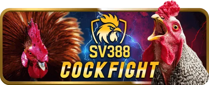 Trò chơi sòng bạc trực tiếp tại 49bet